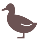 鳥類